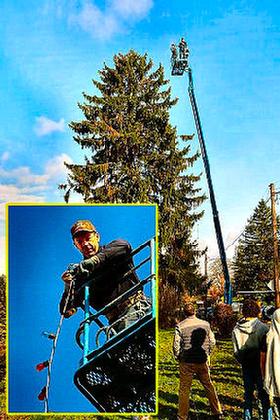 Although it�s a long way to the top of the tree, perennial volunteer, Matt Hainley (inset) wrangles another string of lights to the top of the �SMILE Christmas Tree�.
