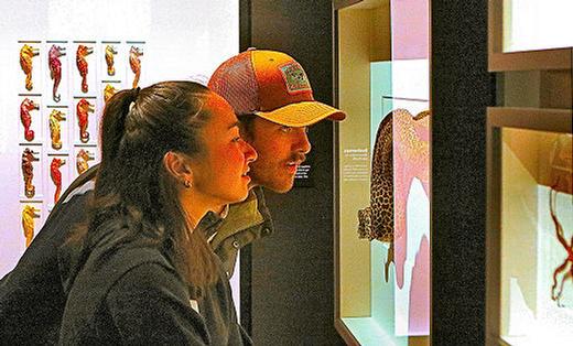 Guests will view works of art created by naturalist artist Christopher Marley and his staff, now on display in his Exquisite Creatures Revealed at the Oregon Museum of Science and Industry. Here, engaged in quiet contemplation, are Claire Flynn and Tommy Klein.