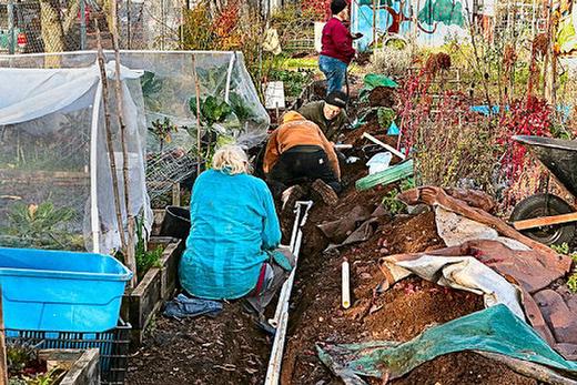 With the help of many volunteers the new Produce for People gardens irrigation system was installed in their section of the Brentwood-Darlington South Community Garden.