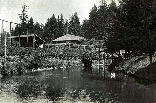 The date of this photo is not precise, but this shows the northeast end of Crystal Lake in Milwaukie, with the park�s grandstand and dance pavilion above. Thanks to Jo Lynn Dow, at the CCHM in Oregon City.