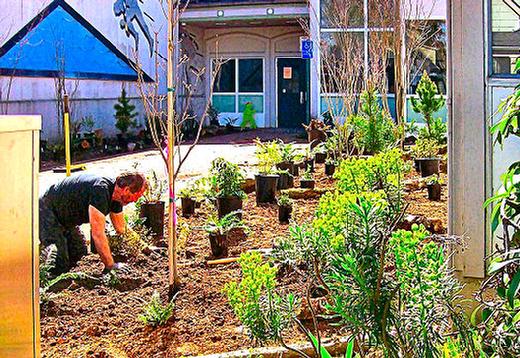 Shown is Thomas Adkinson, teacher Daniel Adkissons brother, assisting with the planting of the new Sellwood Middle School natural garden near the north entrance of the schools gym.