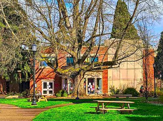 On this picturesque college campus on S.E. Woodstock Boulevard, Reed College�s President has announced that a tenured psychology professor is resigning over an incident that occurred some time ago off campus.