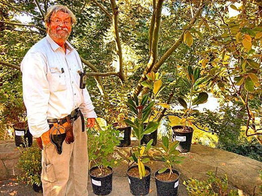Frank Trees, the aptly-named Head Gardener of the Crystal Springs Rhododendron Garden in the Reed neighborhood, here stands with a selection of the many plants that were sold this fall to help fund the famous garden�s operation